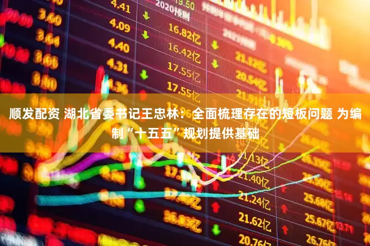 顺发配资 湖北省委书记王忠林：全面梳理存在的短板问题 为编制“十五五”规划提供基础