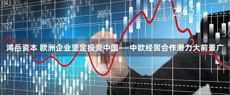 鸿岳资本 欧洲企业坚定投资中国——中欧经贸合作潜力大前景广