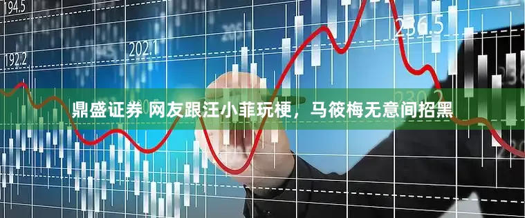 鼎盛证券 网友跟汪小菲玩梗，马筱梅无意间招黑